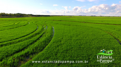 DOS EÓLICOS VIRA P FAZENDA_Moment.00_04_12_09.Quadro211_88be84c618a8bfd4385e7afff0ae4857a0fb0f04.jpg